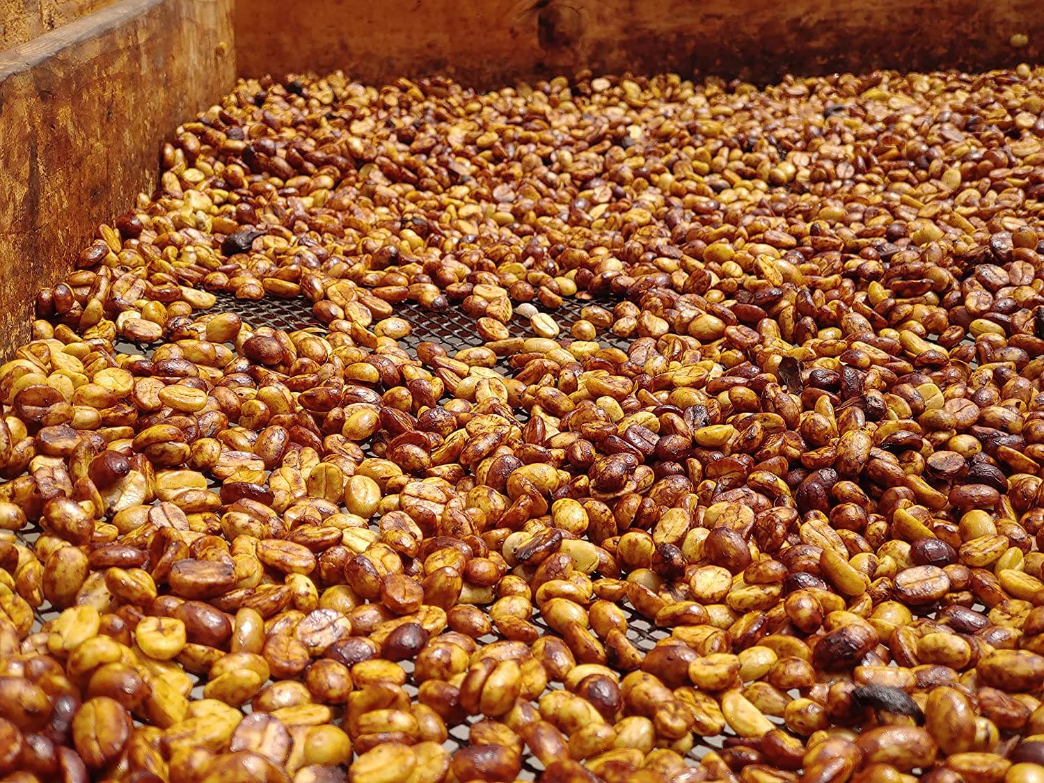 Unroasted Green Coffee Beans- Farm El Nivel